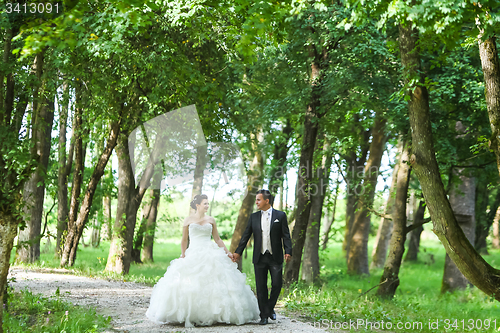 Image of Newlyweds walking in nature