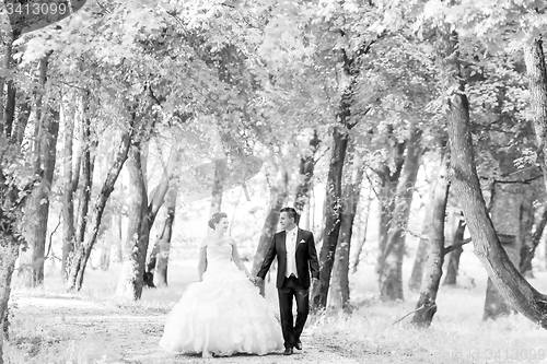 Image of Newlyweds walking in nature bw