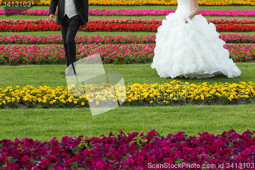 Image of Bride and groom seen from waist down