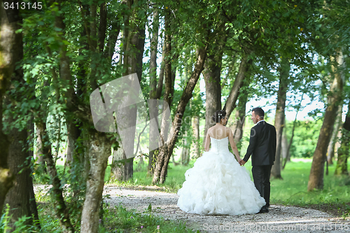 Image of Bride and groom walking in nature