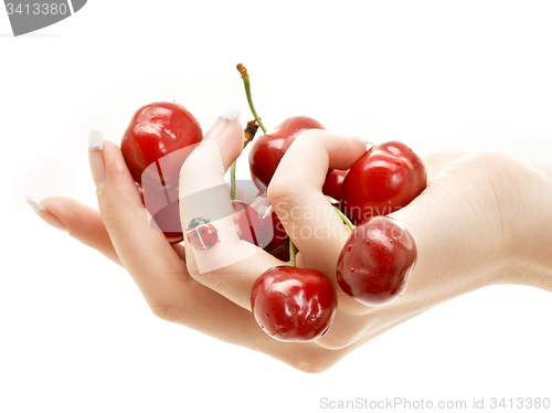 Image of hand full of red cherries