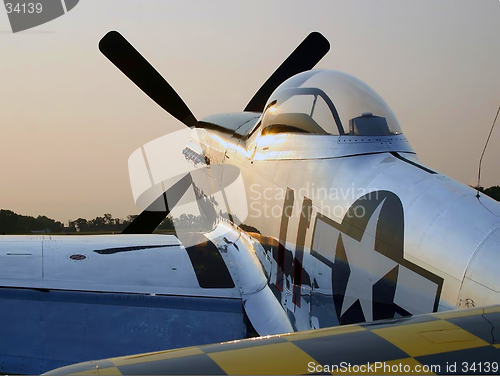 Image of Mustang Waiting