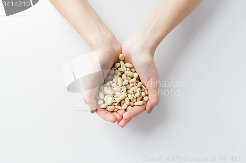 Image of close up of woman hands holding peeled peanuts