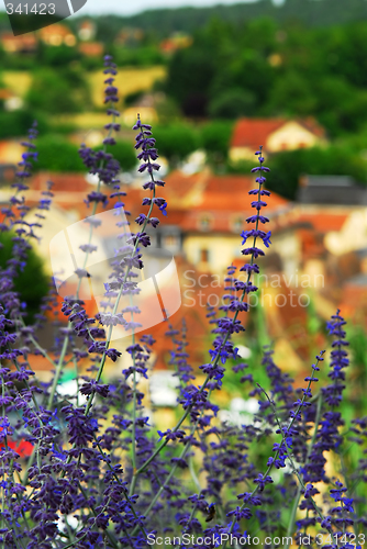 Image of Rooftops in Sarlat, France