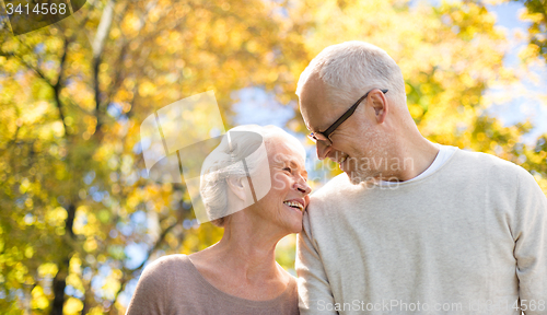 Image of happy senior couple in autumn park