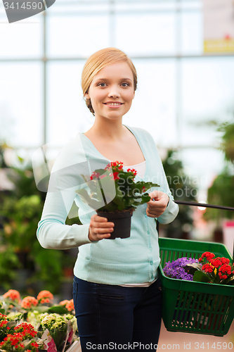 Image of happy woman with shopping basket choosing flowers