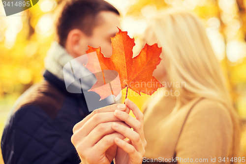 Image of close up of couple kissing in autumn park