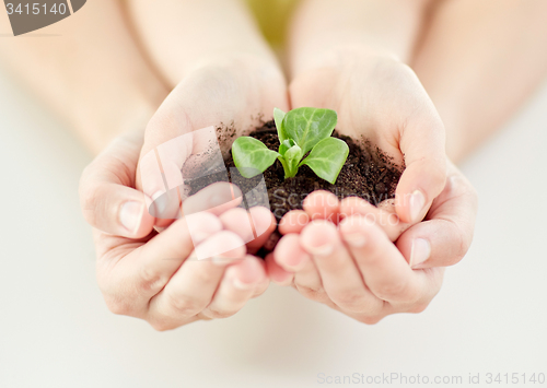 Image of close up of child and parent hands holding sprout