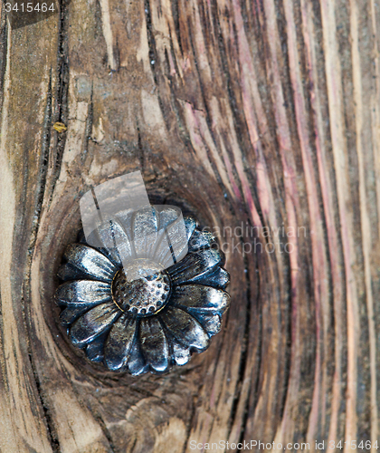 Image of vintage flower button