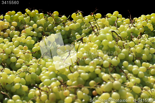 Image of white grapes background