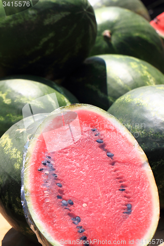 Image of water melon background