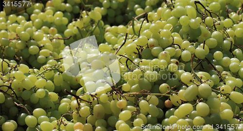 Image of white grapes background