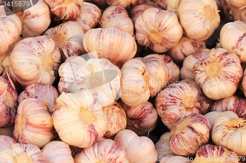 Image of czech strong garlic background