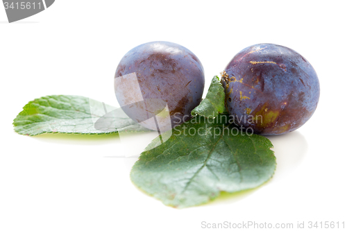 Image of Blue plums.