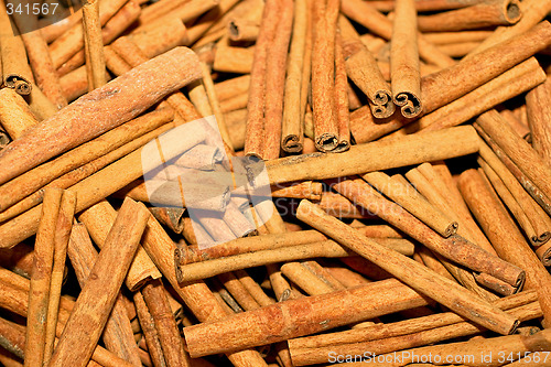 Image of Cinnamon