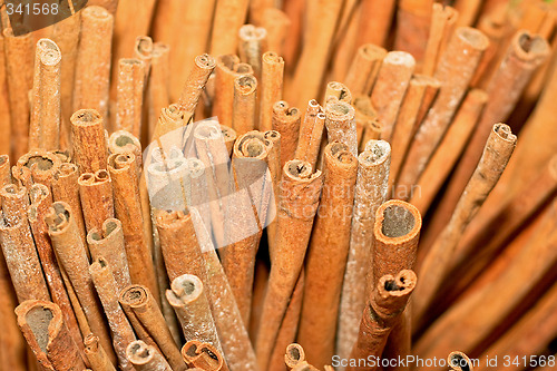 Image of Cinnamon stick