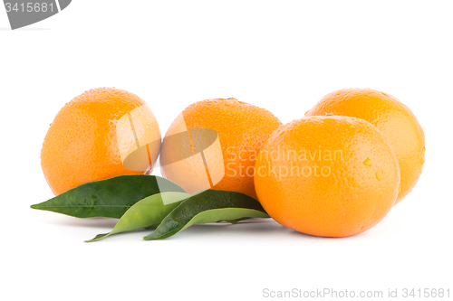 Image of Ripe tangerine or mandarin