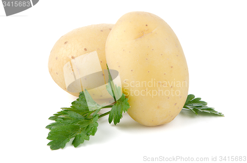 Image of New potatoes and green parsley