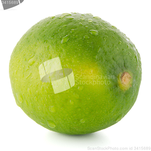 Image of Fresh green lime