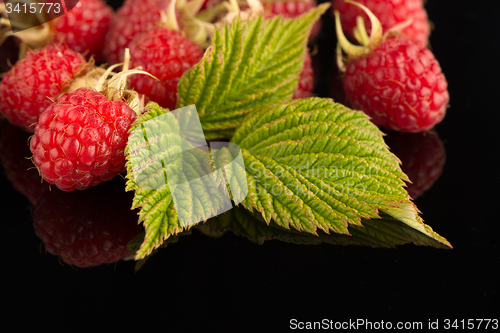 Image of Fresh raspberries