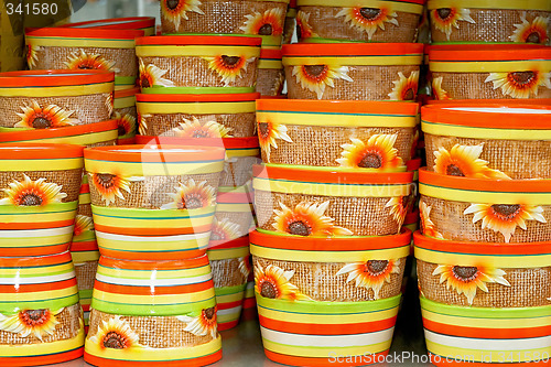 Image of Sunflower pots