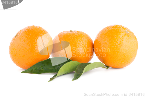 Image of Ripe tangerine or mandarin
