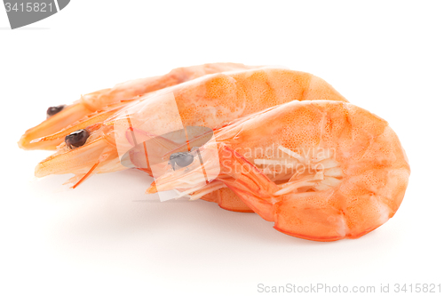 Image of Three shrimps 