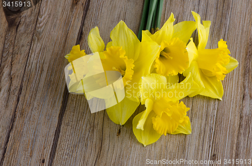 Image of Jonquil flowers