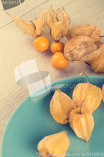 Image of Physalis fruits