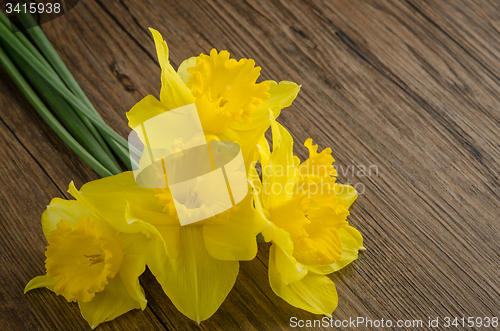 Image of Jonquil flowers