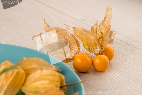 Image of Physalis fruits