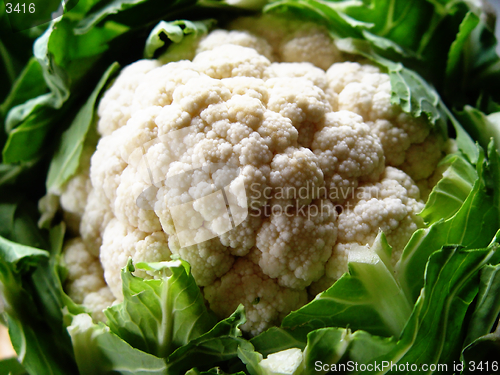 Image of cauliflower