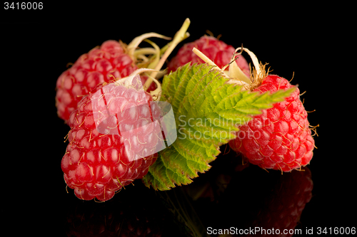 Image of Fresh raspberries