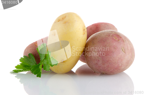 Image of New potatoes and green parsley