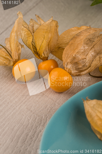 Image of Physalis fruits