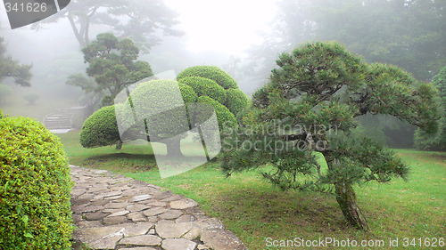 Image of japanese park in summer