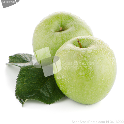 Image of Two fresh green apples