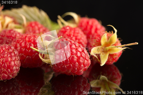 Image of Fresh raspberries