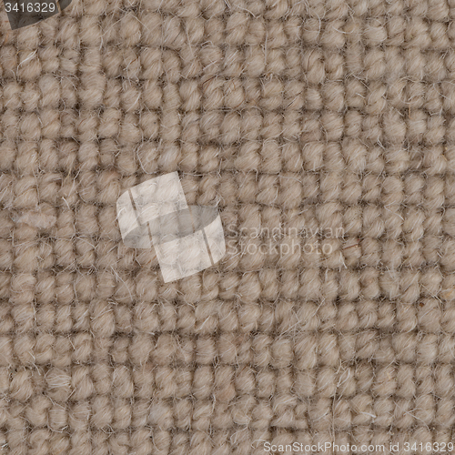 Image of Brown carpet