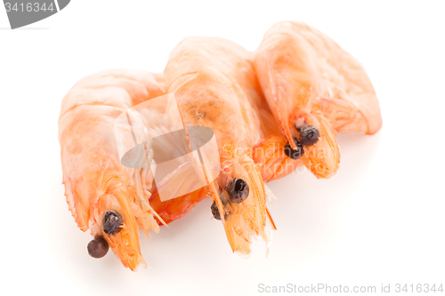 Image of Three shrimps 