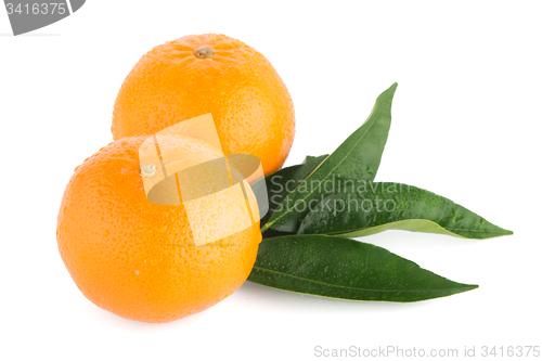 Image of Ripe tangerine or mandarin