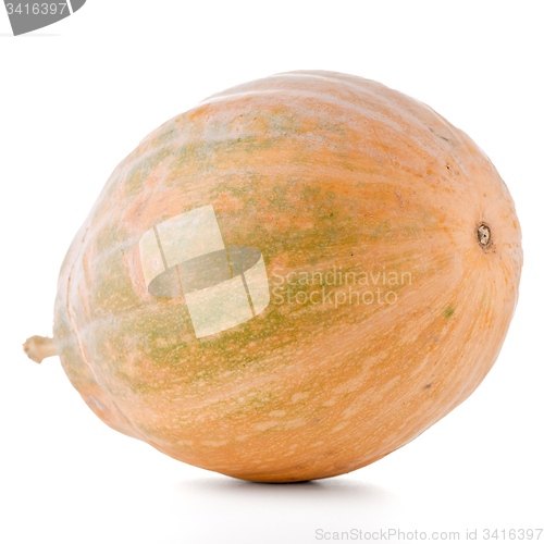 Image of Calabash pumpkin