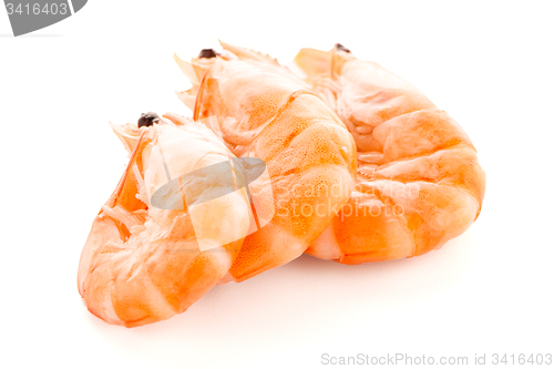 Image of Three shrimps 