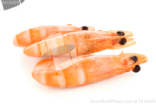 Image of Three shrimps 