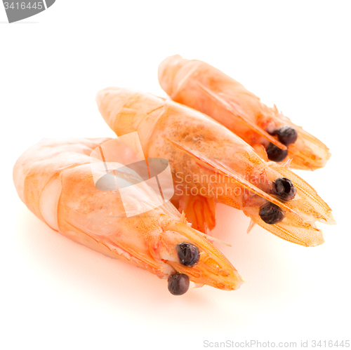 Image of Three shrimps 