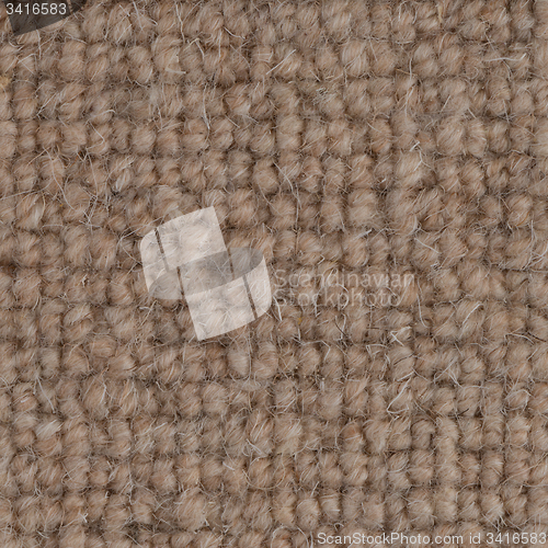 Image of Brown carpet