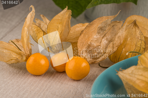 Image of Physalis fruits