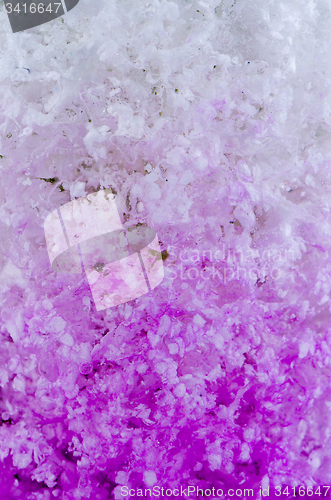 Image of Flower Gel