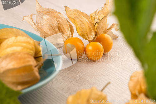 Image of Physalis fruits