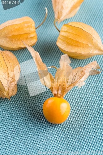 Image of Physalis fruits